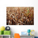 Corn Wall Decal