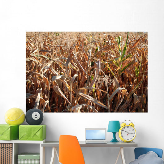 Corn Wall Decal