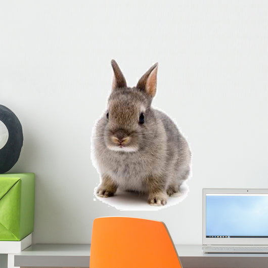 Bunny Wall Decal