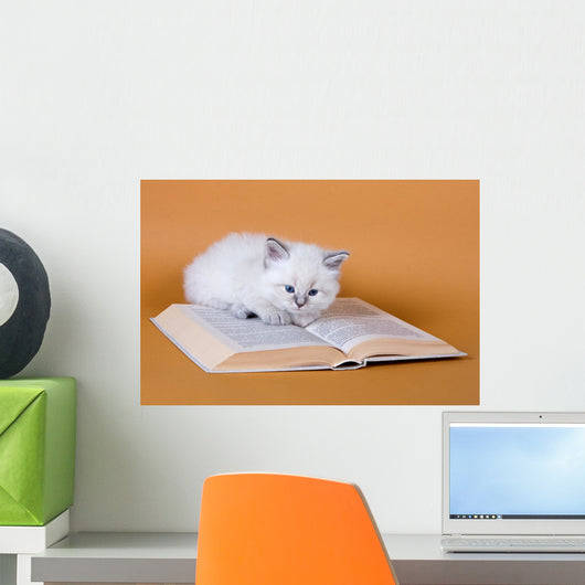 White Masquerade Kitten Reading Wall Decal