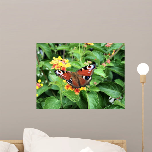 Butterfly Wall Decal
