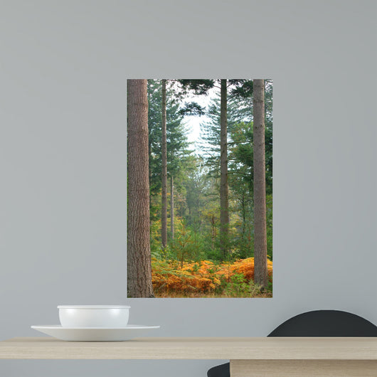 Autumn Fern Forest Wall Decal