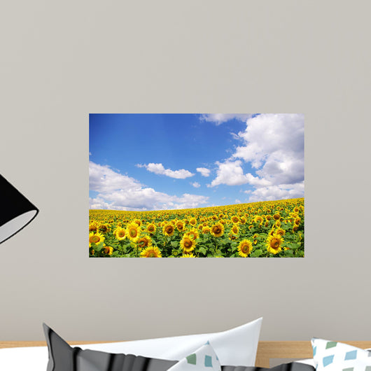 Sunflower Field over Blue Wall Decal