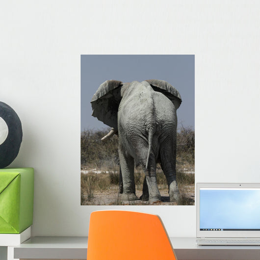 Elephant Loxodonta Africana Wall Decal