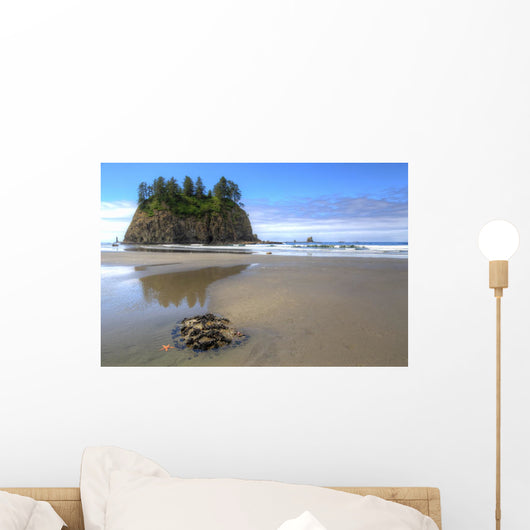 Sea Star Tide Pool Wall Decal