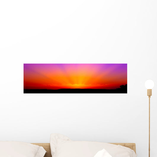 Bright Orange-magenta Sunrise Wall Decal Panoramic
