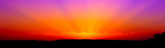 Bright Orange-magenta Sunrise Wall Decal Panoramic