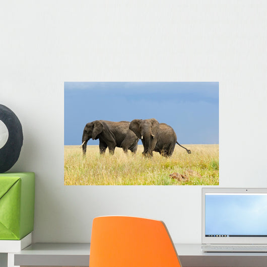 Two Adult African Elephants Wall Decal
