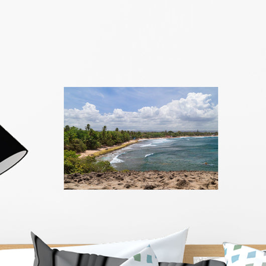 Beach around Cueva Del Wall Decal