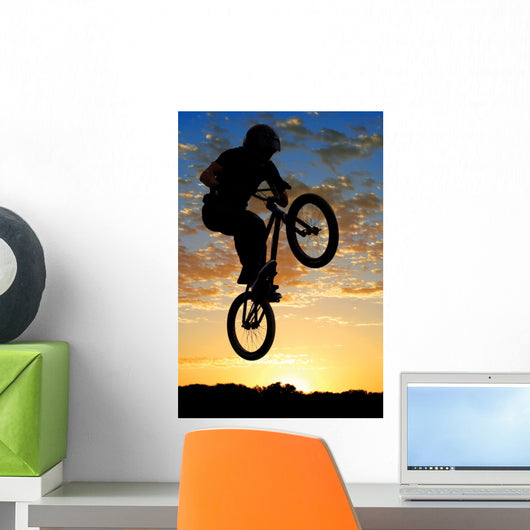 Airborne Bike Wall Decal