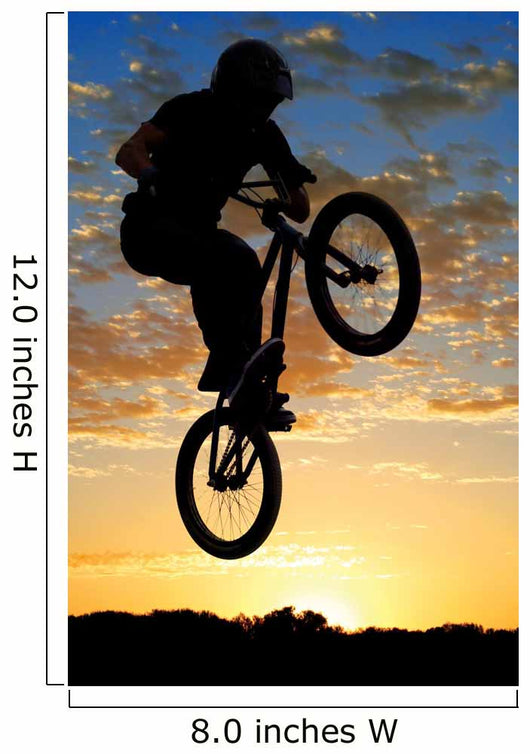 Airborne Bike Wall Decal