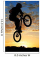 Airborne Bike Wall Decal