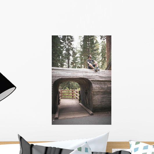 Young Man over Tunnel Wall Decal