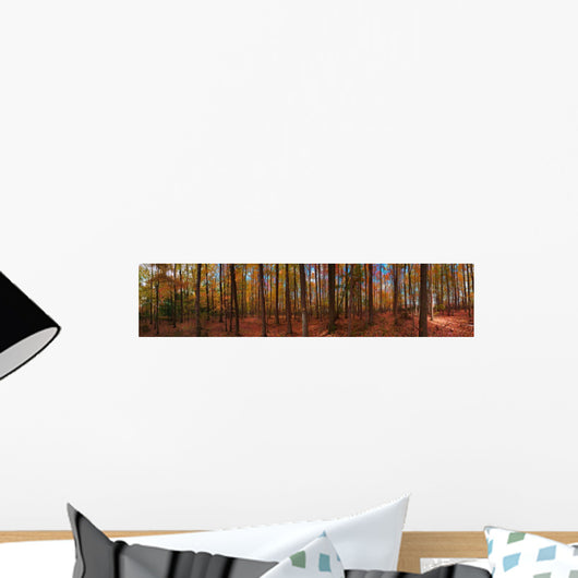 Into Autumn Woods Wall Decal
