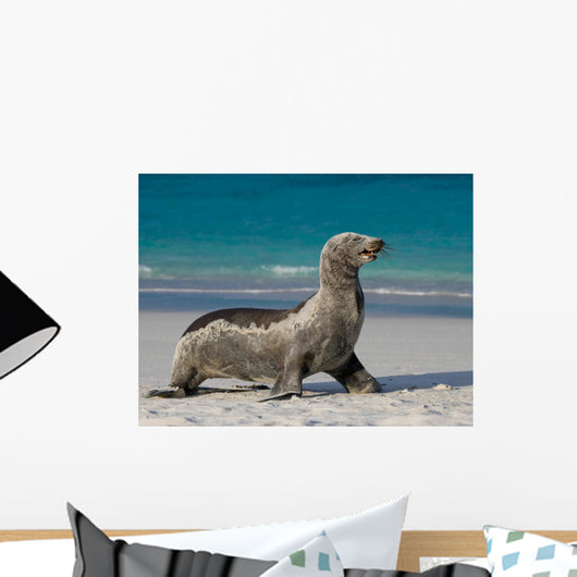 Sea Lion Beach Sitting Wall Decal