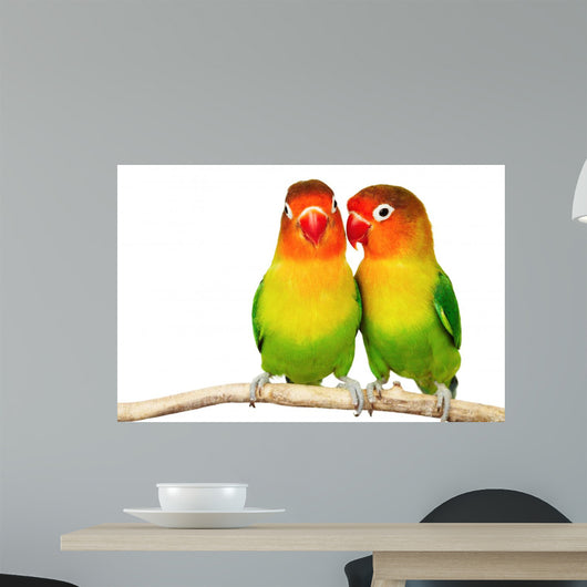 Pair Lovebirds Agapornis-fischeri White Wall Decal