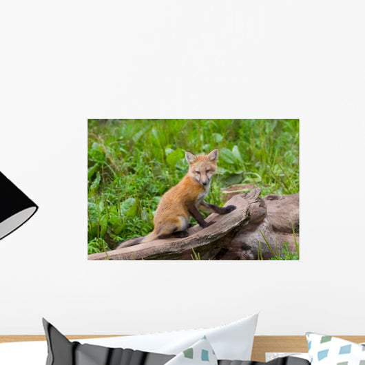 Young Brown Fox Tree Wall Decal