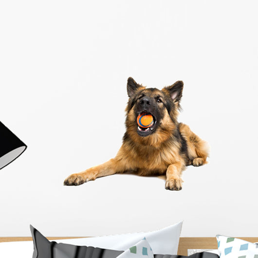German Shepherd Chewing Orange Wall Decal