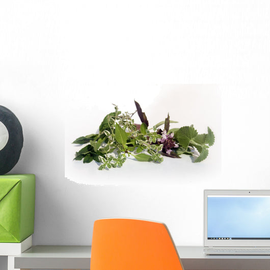 Catnip Red Basil Lemon Wall Decal