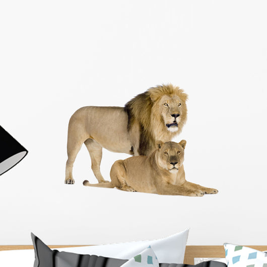 Lioness 8 Years Wall Decal