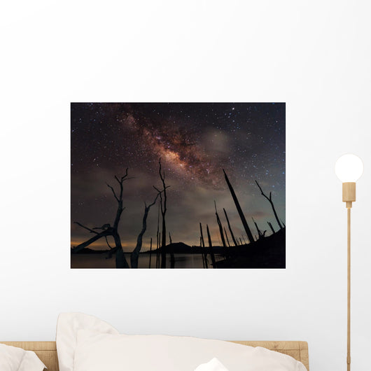 Milky Way and Trees Wall Decal