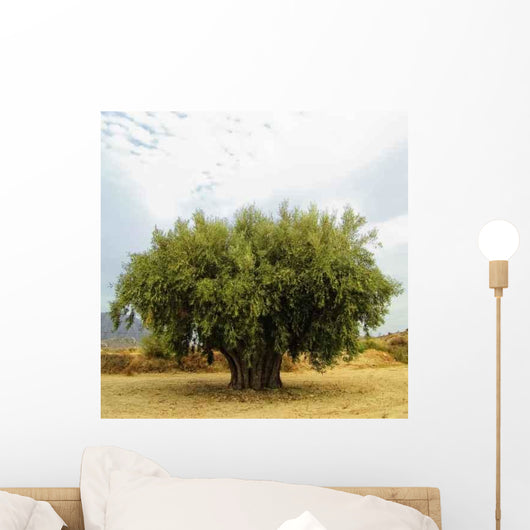 Ancient Olive Wall Decal