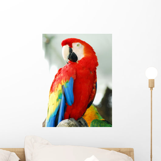 Closeup Shot Golden Red Wall Decal
