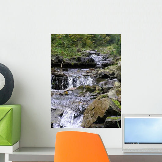 Carpathian Stream Wall Decal