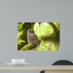 Barred Owl Olympic National Wall Decal