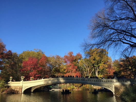 Central Park I N Wall Decal
