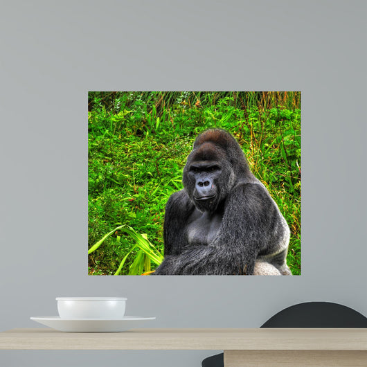 Hdr up Image Male Wall Decal
