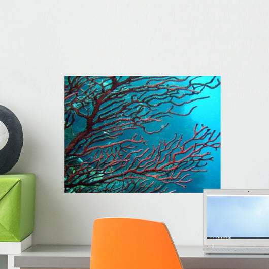 Caribbean coral Wall Mural