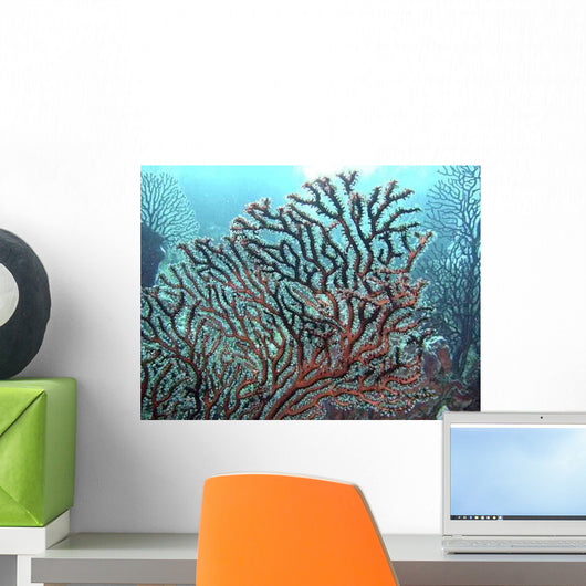 Caribbean coral Wall Mural