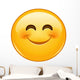 Smiling Emoticon with Smiling Wall Decal
