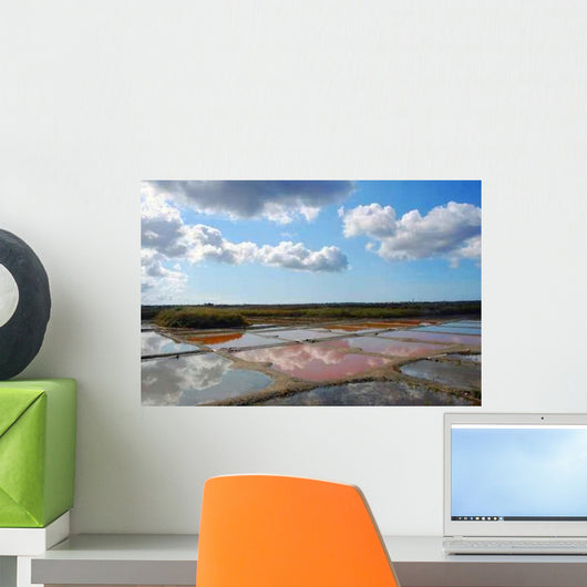 Marsh Salan from Guerande Wall Decal