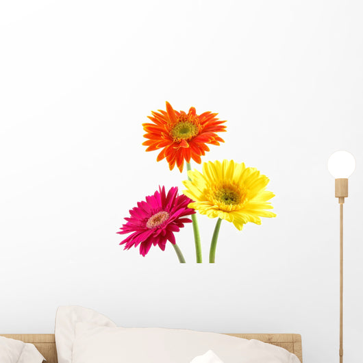 Colorful Gerber Daisies Wall Decal