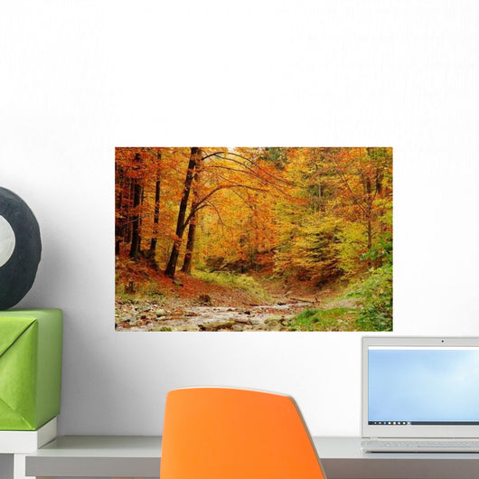 Autumn in Forest Wall Mural