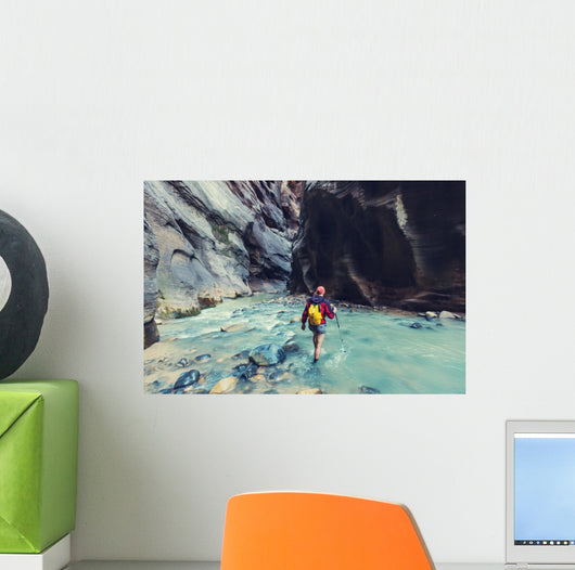 Canyon in Zion Wall Mural