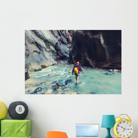 Canyon in Zion Wall Mural