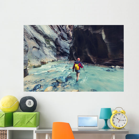 Canyon in Zion Wall Mural
