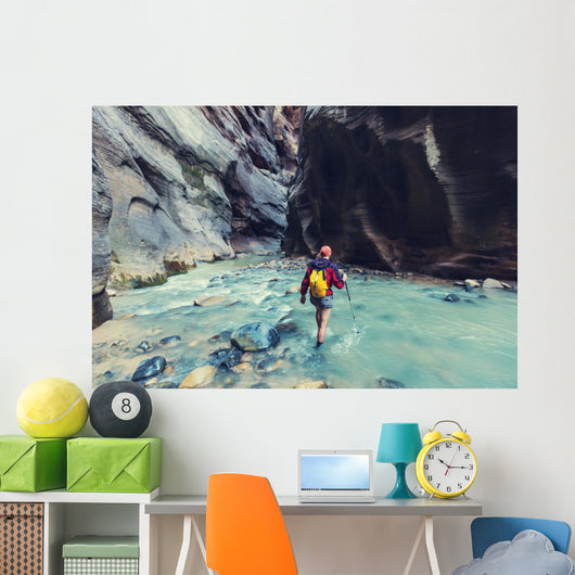 Canyon in Zion Wall Mural