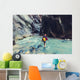 Canyon in Zion Wall Mural