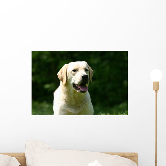 White Labrador Countryside Wall Decal