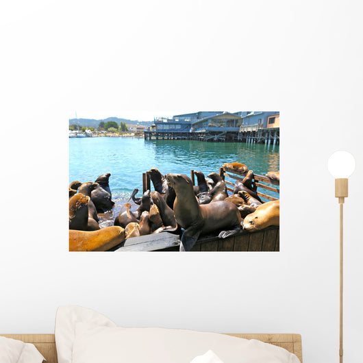 Colonie Lions Mer Wall Decal