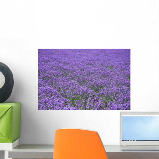 Lavender Field Wall Decal