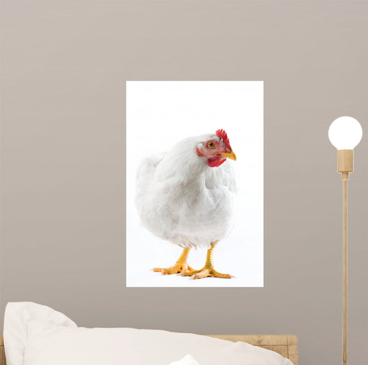 Image White Hen Standing Wall Decal