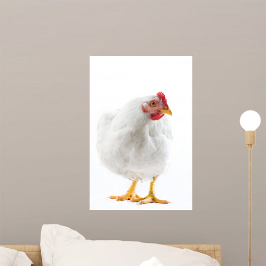 Image White Hen Standing Wall Decal