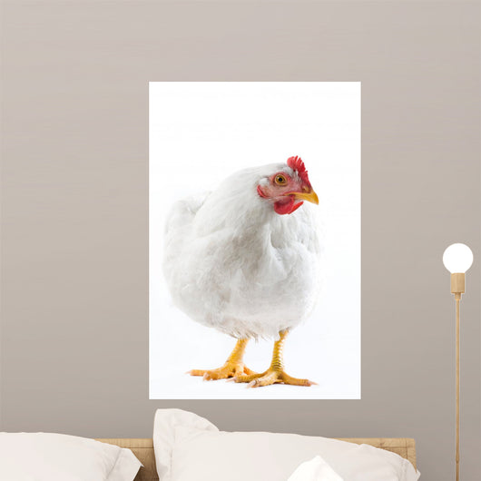 Image White Hen Standing Wall Decal