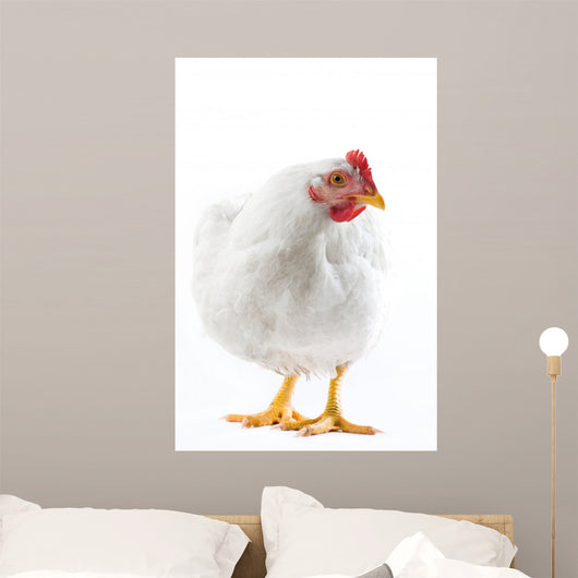Image White Hen Standing Wall Decal