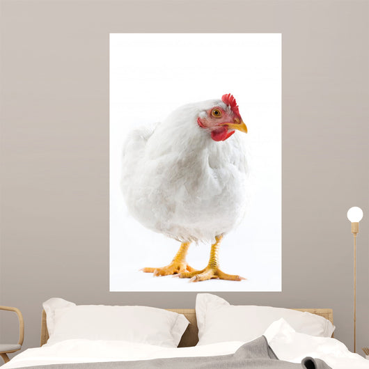 Image White Hen Standing Wall Decal